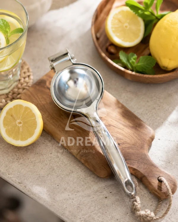 آبلیموگیر استیل شنگیا