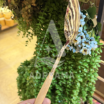 قاشق سرو بزرگ استیل دسته چوبی