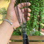همزن نسوز سیلیکونی شنگیا