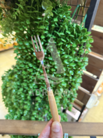 چنگال مزه‌خوری دسته بامبو