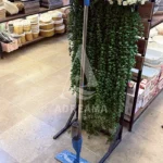 طی اسپری‌دار