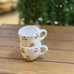 شات سرامیکی طرح آلبالو