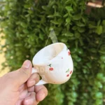 شات سرامیکی طرح آلبالو
