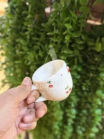 شات سرامیکی طرح آلبالو